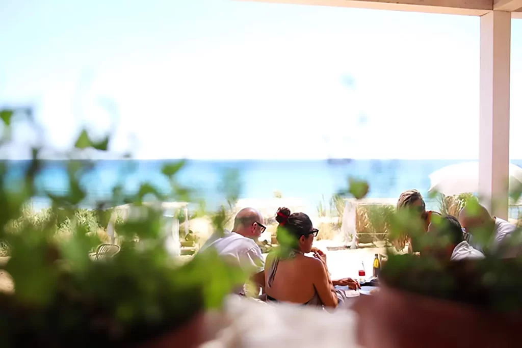 Piante e terrazza copia
